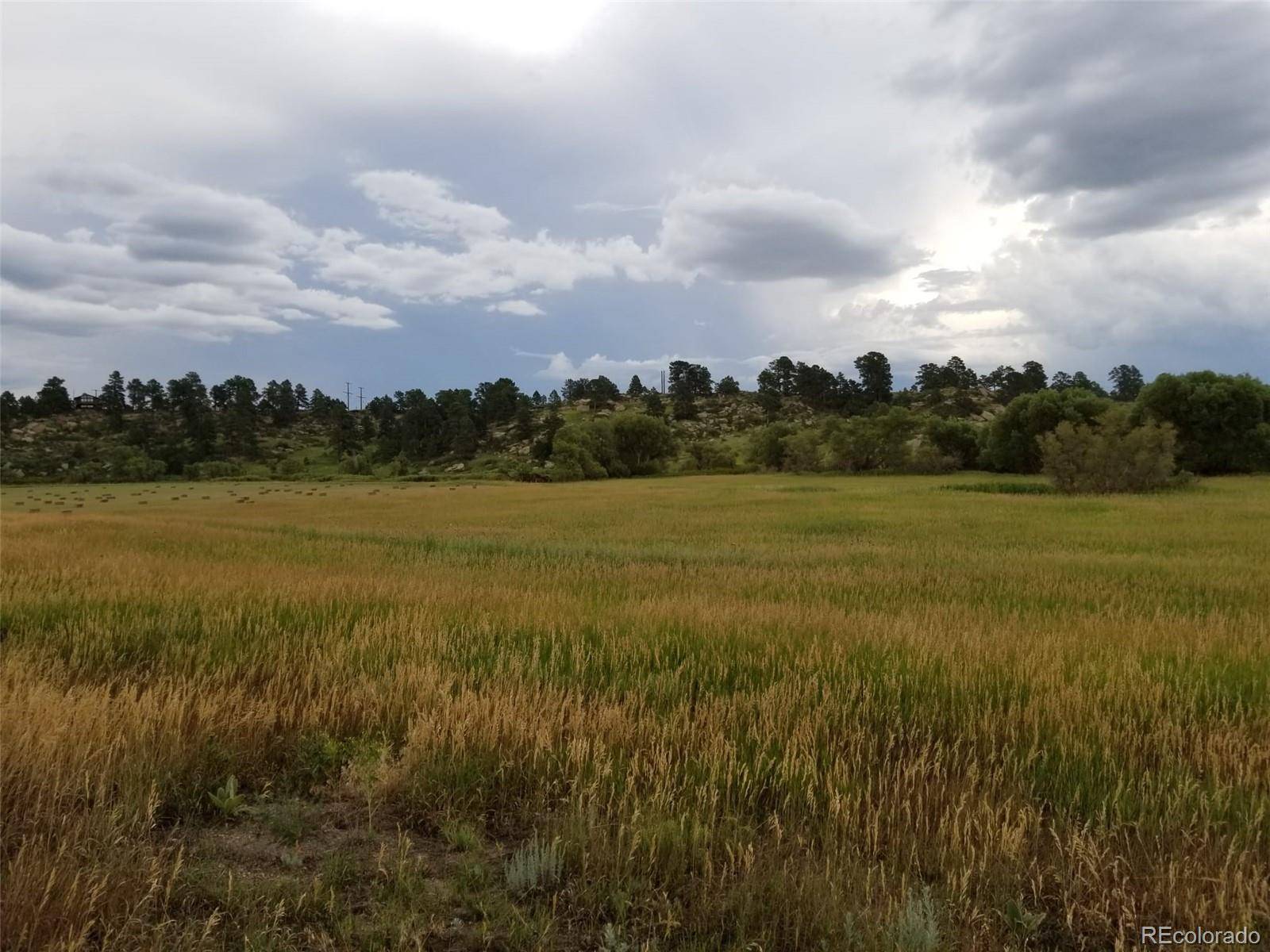 Franktown, CO 80116,11325 Cave Spring RD
