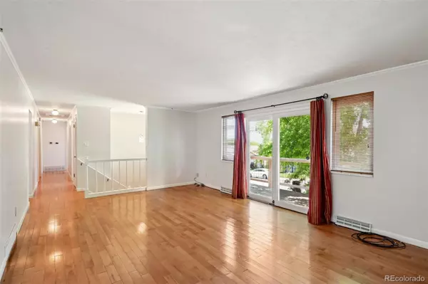 Golden, CO 80401,1073 Xenon ST