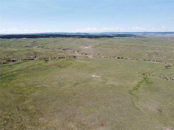 Calhan, CO 80808,00018 County Road 77