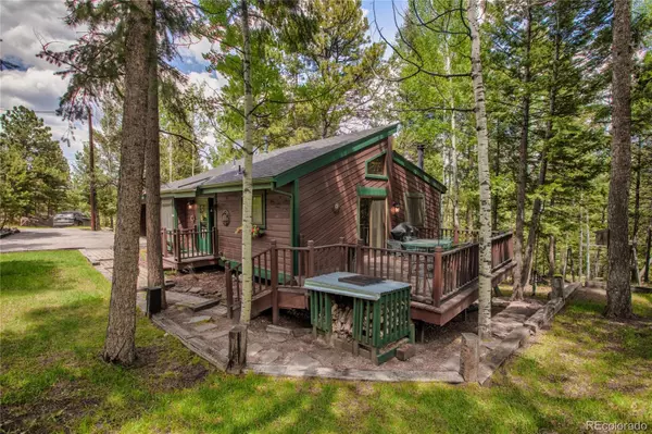 Woodland Park, CO 80863,451 Evergreen CT