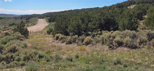 Fort Garland, CO 81133,Lots 4493 & 4494 Ehrenclow RD