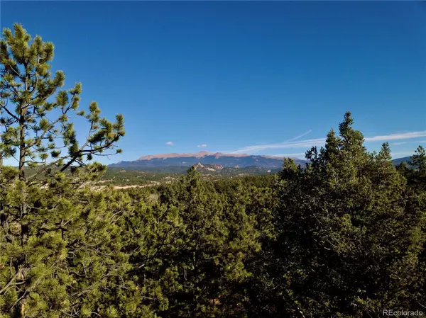 Florissant, CO 80816,444 Black Mesa CIR