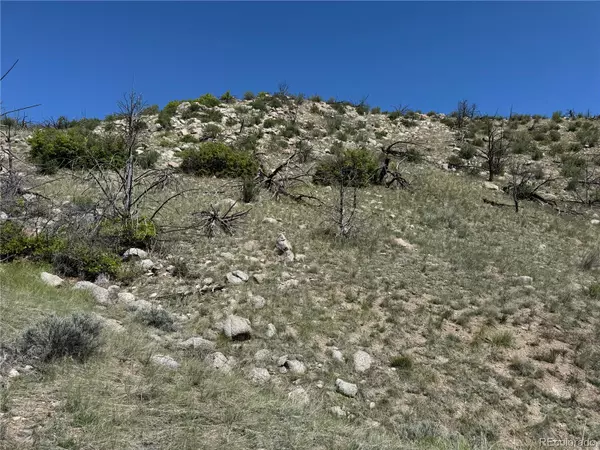 Cotopaxi, CO 81223,TR-29 18X