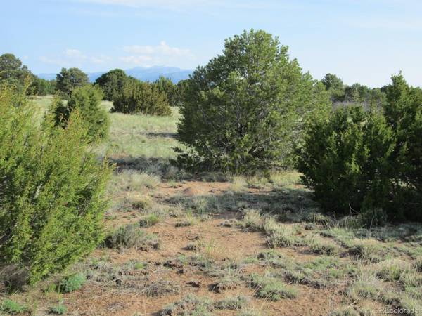 Walsenburg, CO 81089,Lot 93 Navajo Ranch Resorts #1