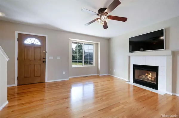 Monument, CO 80132,156 Misty Creek DR