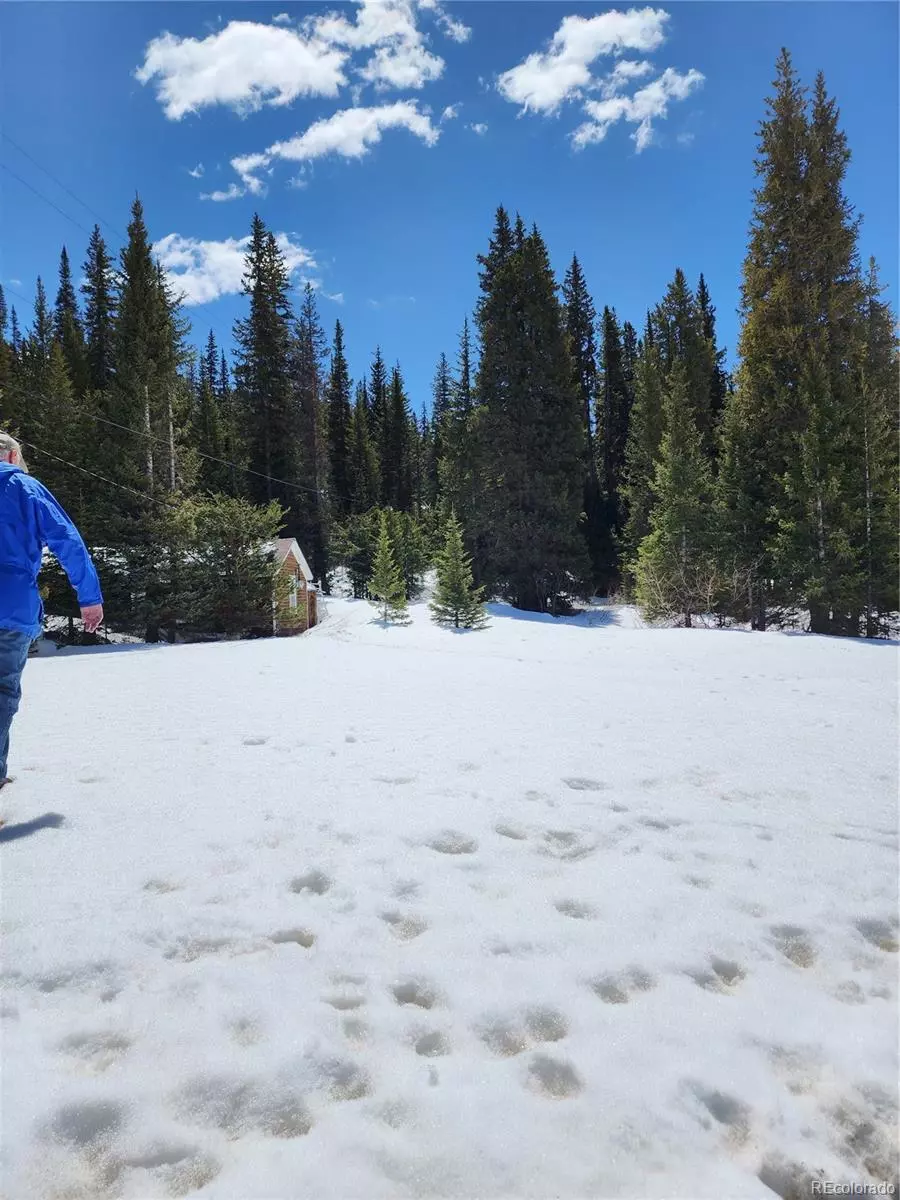 Montezuma, CO 80435,Montezuma DR