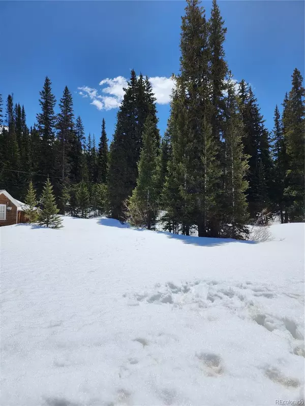 Montezuma, CO 80435,Montezuma DR