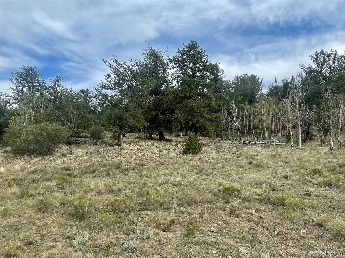 Hartsel, CO 80449,4193 Goldenburg Canyon RD