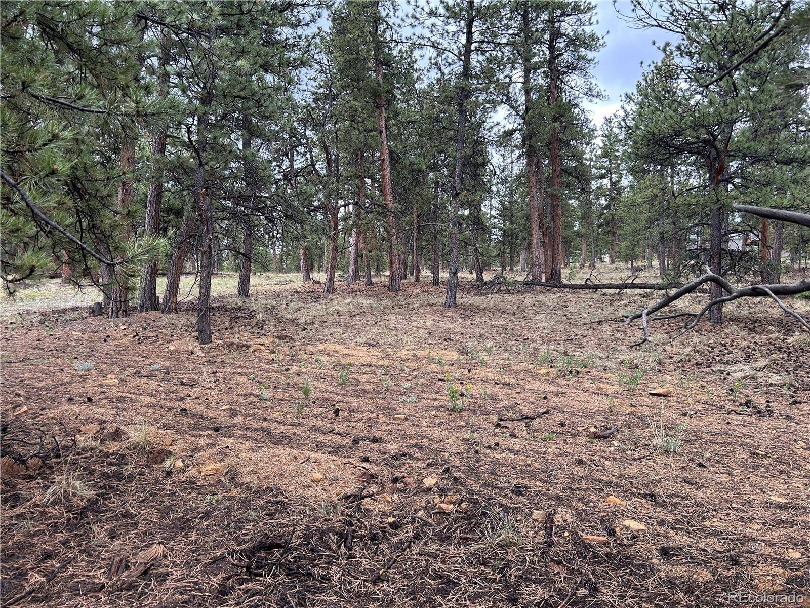 Hartsel, CO 80449,120 Harness WAY