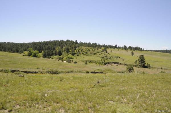 Parcel F Amethyst RD, Deer Trail, CO 80105