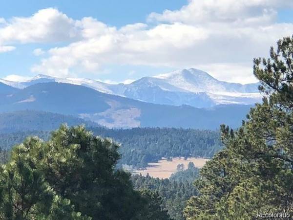 Evergreen, CO 80439,6725 Teal TRL