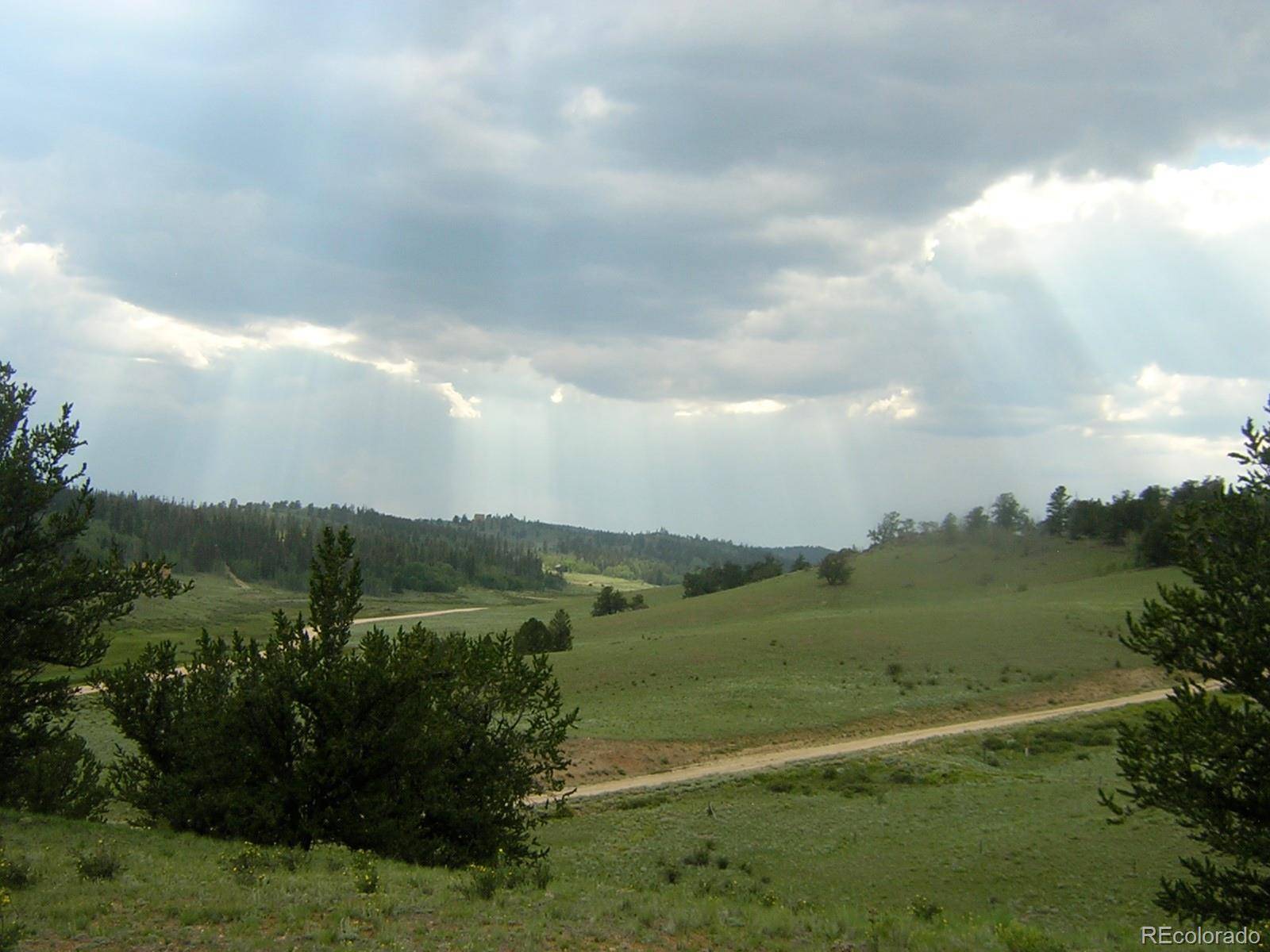 170 Musket LN, Jefferson, CO 80456