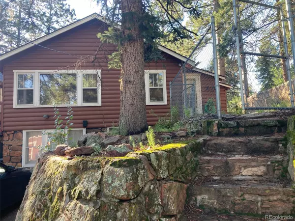 Cascade, CO 80809,9025 Picabo RD