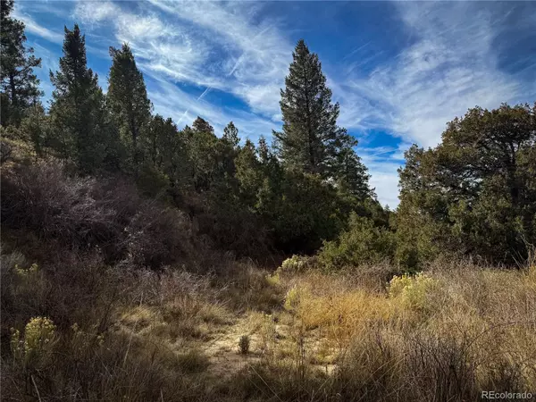 Fort Garland, CO 81133,00 Jaidi RD