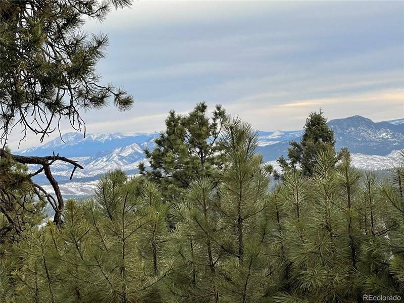 13391 Callae DR, Conifer, CO 80433