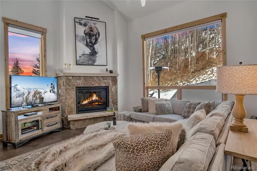 28 Damselfly, Silverthorne, CO 80498