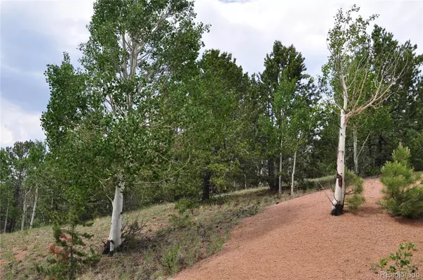 Cripple Creek, CO 80813,43 Hobo CT