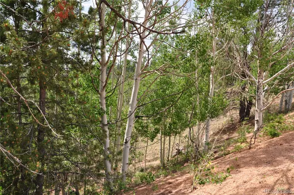 Cripple Creek, CO 80813,43 Hobo CT