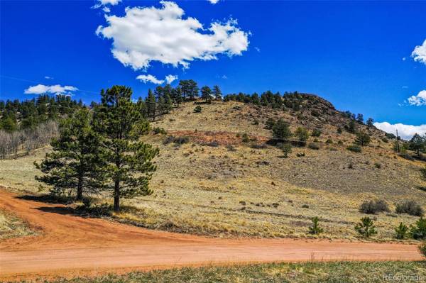 897 & 961 Highland Meadows DR, Florissant, CO 80816