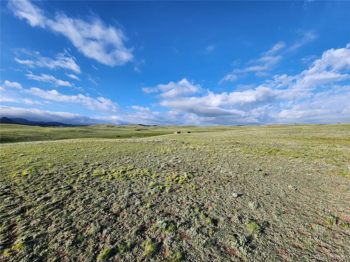 Hartsel, CO 80449,4305 Black Gatto TRL