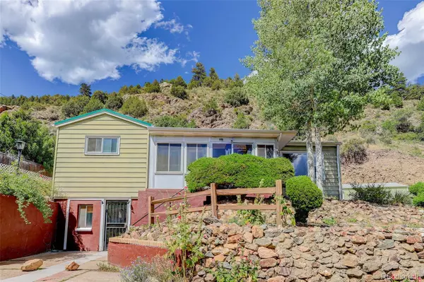 454 Virginia ST, Idaho Springs, CO 80452