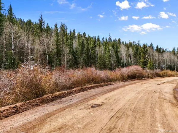 Florissant, CO 80816,464 E Bison Creek TRL
