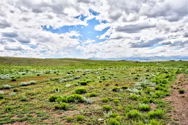 Hartsel, CO 80449,313 Watonga TRL