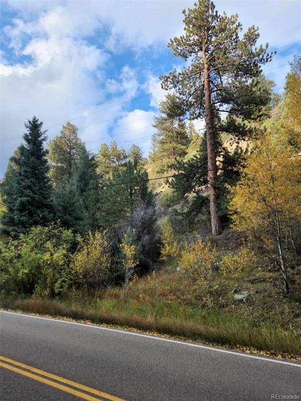 Idaho Springs, CO 80452,00000 TBD Fall River Road