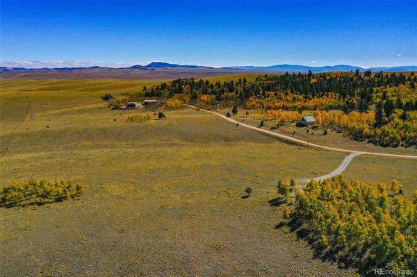 Hartsel, CO 80449,329 Oxen CT