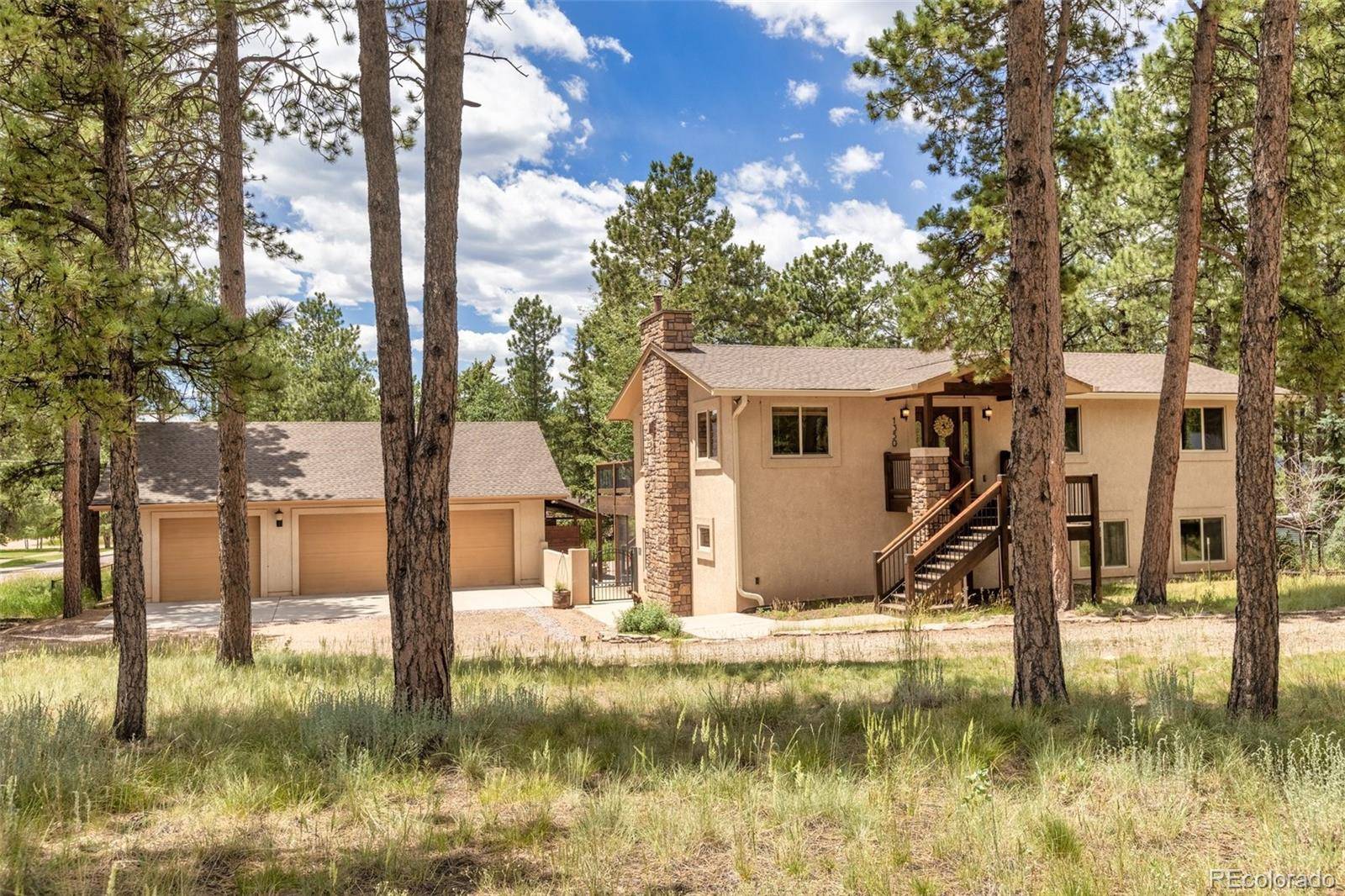 Woodland Park, CO 80863,1350 Chippewa TRL