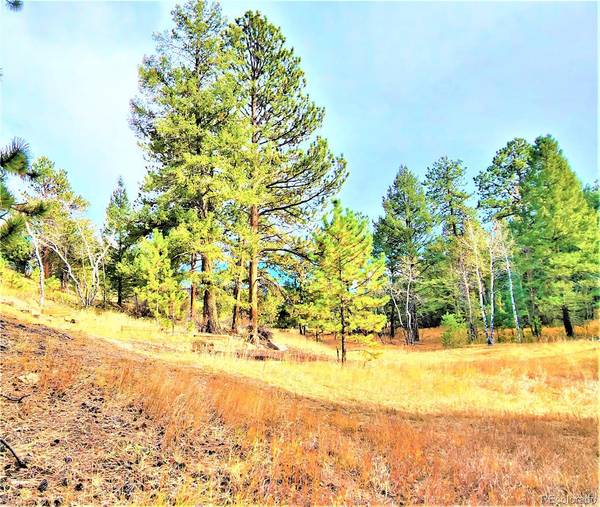 33750 Warren RD, Pine, CO 80470