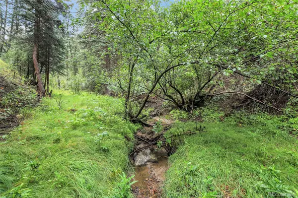 Evergreen, CO 80439,TBD Mountain Park RD