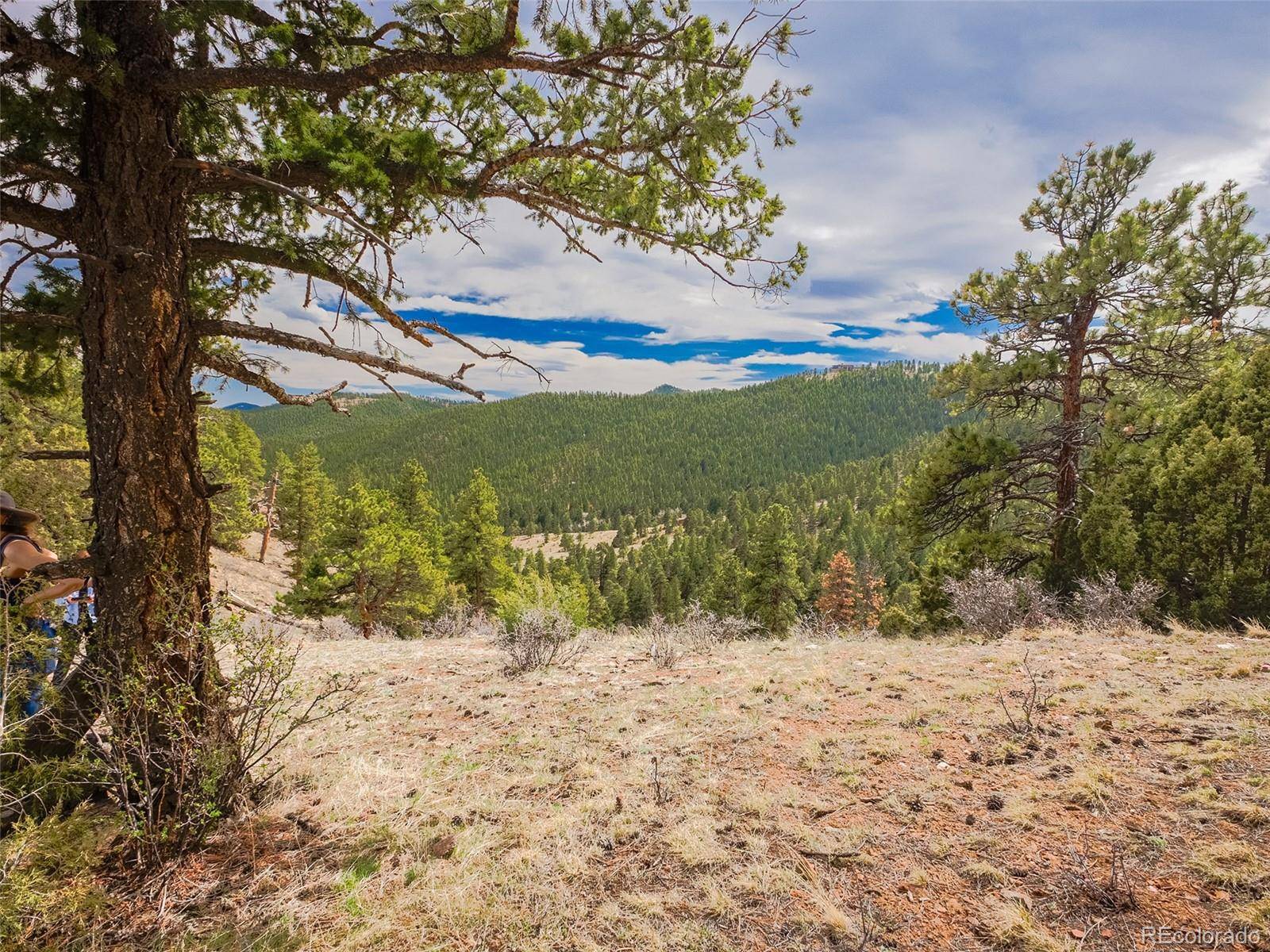 Indian Hills, CO 80454,23778 Inca RD