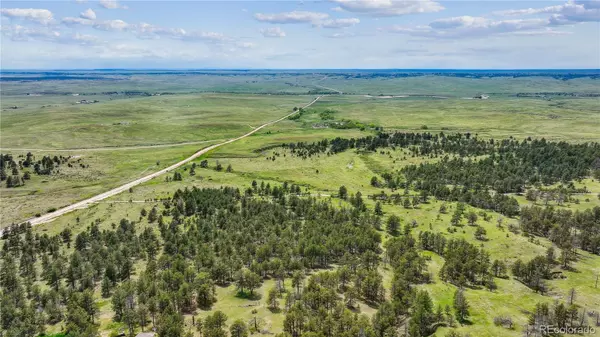 Agate, CO 80101,County Road 150