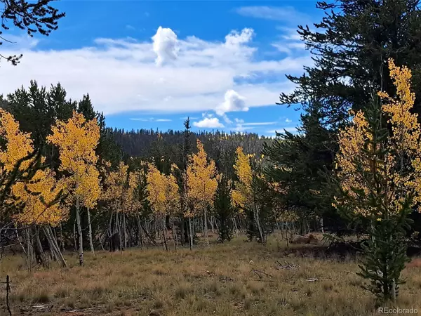 Como, CO 80432,1403 Wampum LN