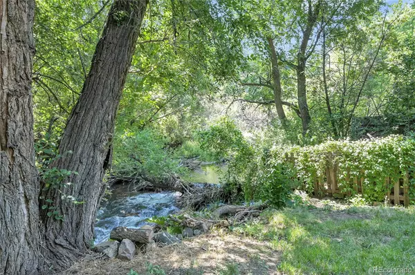 Idledale, CO 80453,21938 Miller LN