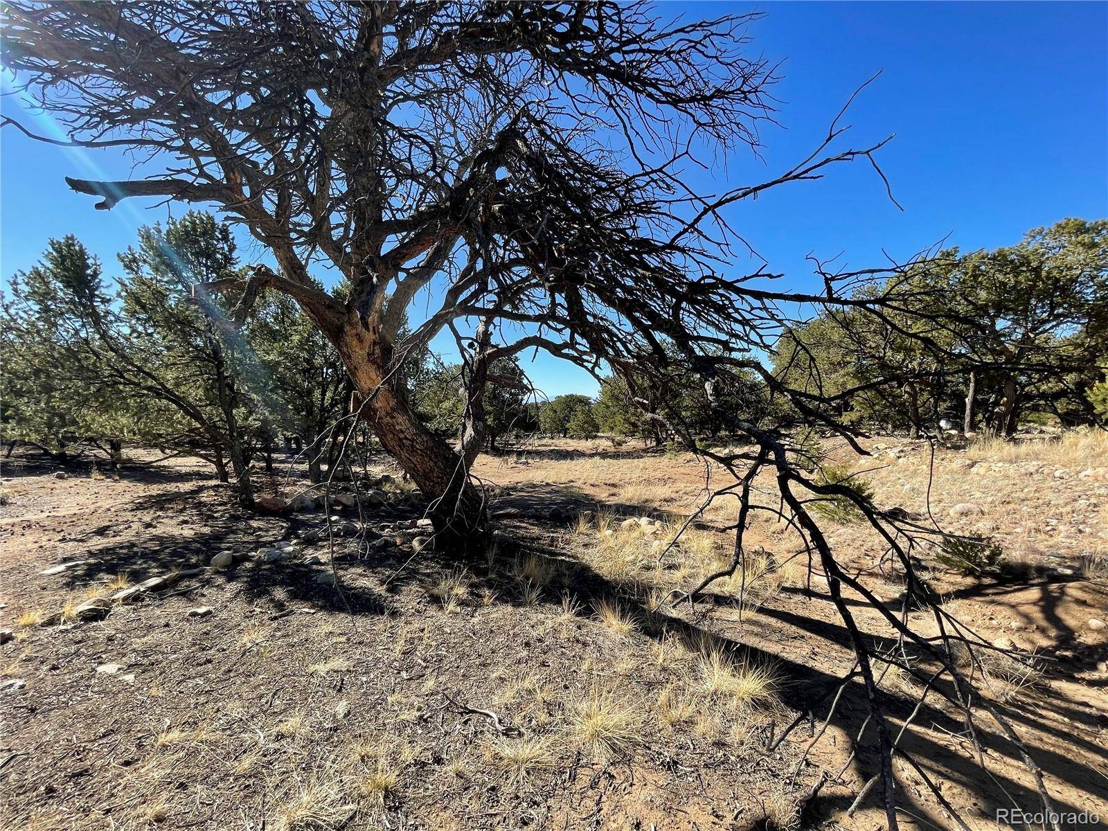 Crestone, CO 81131,3717 Enchanted WAY