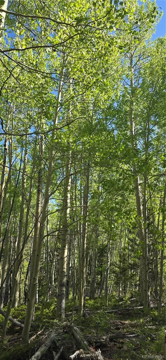 Fort Garland, CO 81133,Lot 6708 Debbie RD
