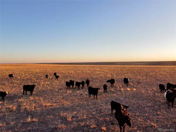 Agate, CO 80105,0001 County Road 166