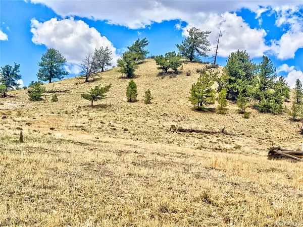 Hartsel, CO 80449,243 June LN
