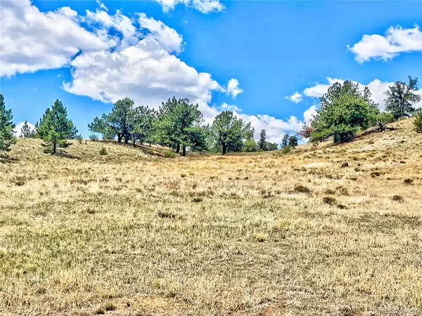 Hartsel, CO 80449,243 June LN
