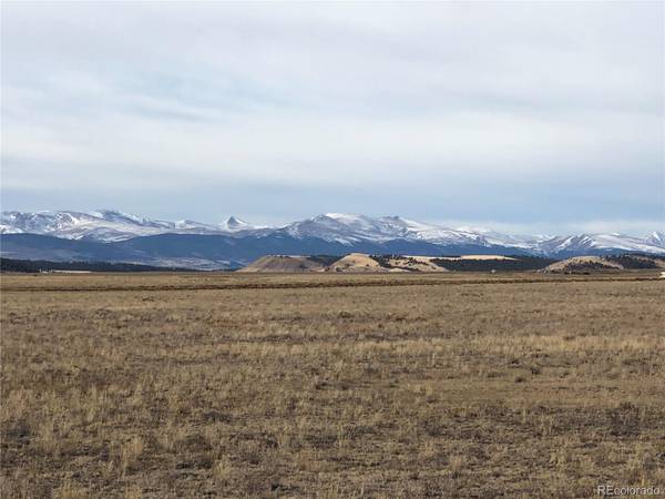 1189 Fairview RD, Hartsel, CO 80449