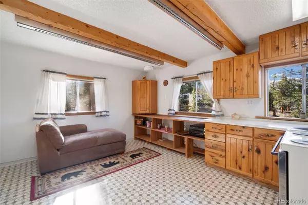 Red Feather Lakes, CO 80545,721 Nokomis RD