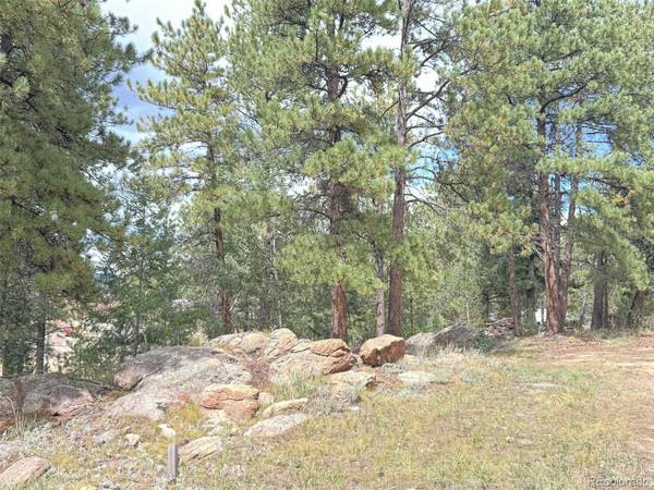 Pine, CO 80470,14054 S Wandcrest DR