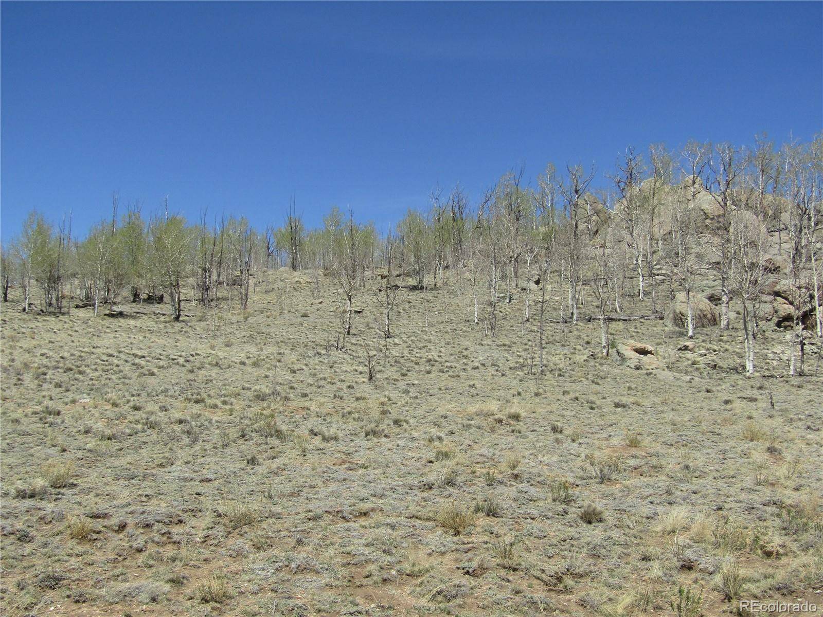 1868 Ute TRCE, Hartsel, CO 80449