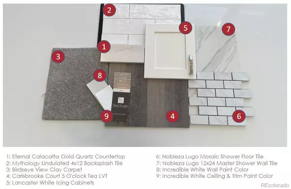 Littleton, CO 80125,8756 Snake River ST