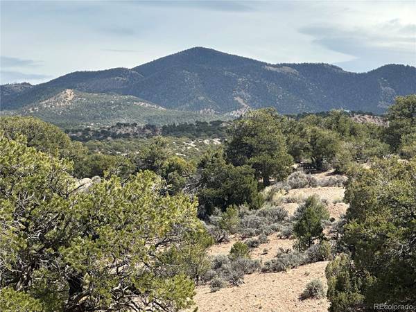 Fort Garland, CO 81133,Lot 3478