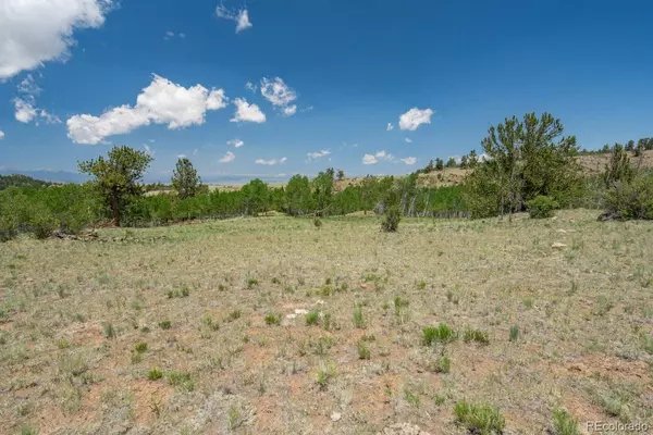 Hartsel, CO 80449,Lot 2167 Caddo RD