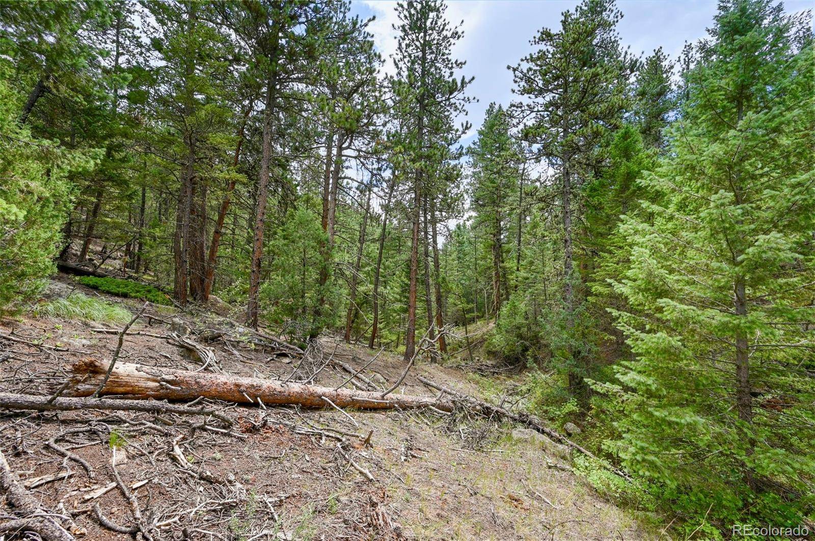 Lyons, CO 80540,374 Spruce DR