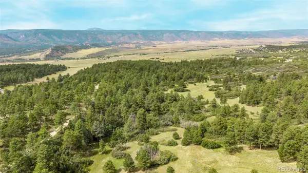 Larkspur, CO 80118,7013 Cinque Tail DR